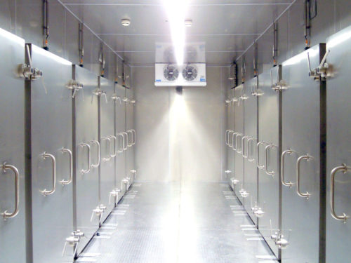 Innenansicht eines mobilen Tiefkälte Pharmalager im 12 x 2,5 m Container für die Lagerung und Kryokonservierung bei -80 °C